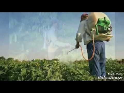 شركة مكافحة شرق الرياض –  أرخص شركة رش مبيدات بالرياض 0506099245 أرخص اسعار مكافحة الحشرات