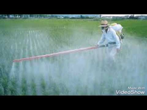شركة مكافحة شرق الرياض –  شركة رش مبيدات بالرياض- 0506099245 شركة لرش المبيدات بالرياض