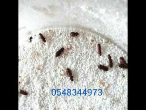 شركة مكافحة شرق الرياض –  شركة مكافحة النمل الأبيض 0548344973 شركة البسمة مكافحة الحشرات