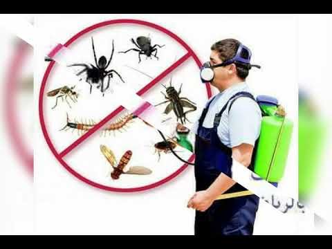 شركة مكافحة شرق الرياض –  شركة رش مبيدات لجميع الحشرات الصفرات بالرياض 0549292017