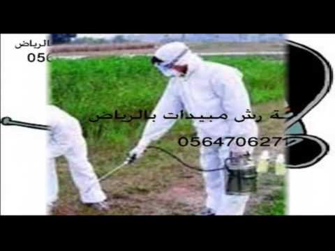 شركة مكافحة شرق الرياض –  شركة رش مبيدات بالرياض –  0564706271